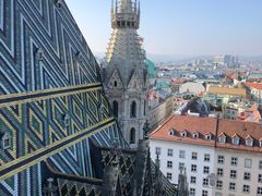 -斯蒂芬主教座堂(Stephansdom)