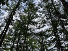 -崂山九水游览区