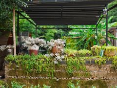 -心无尘茶餐馆(径山村店)