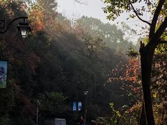 -杭州半山国家森林公园