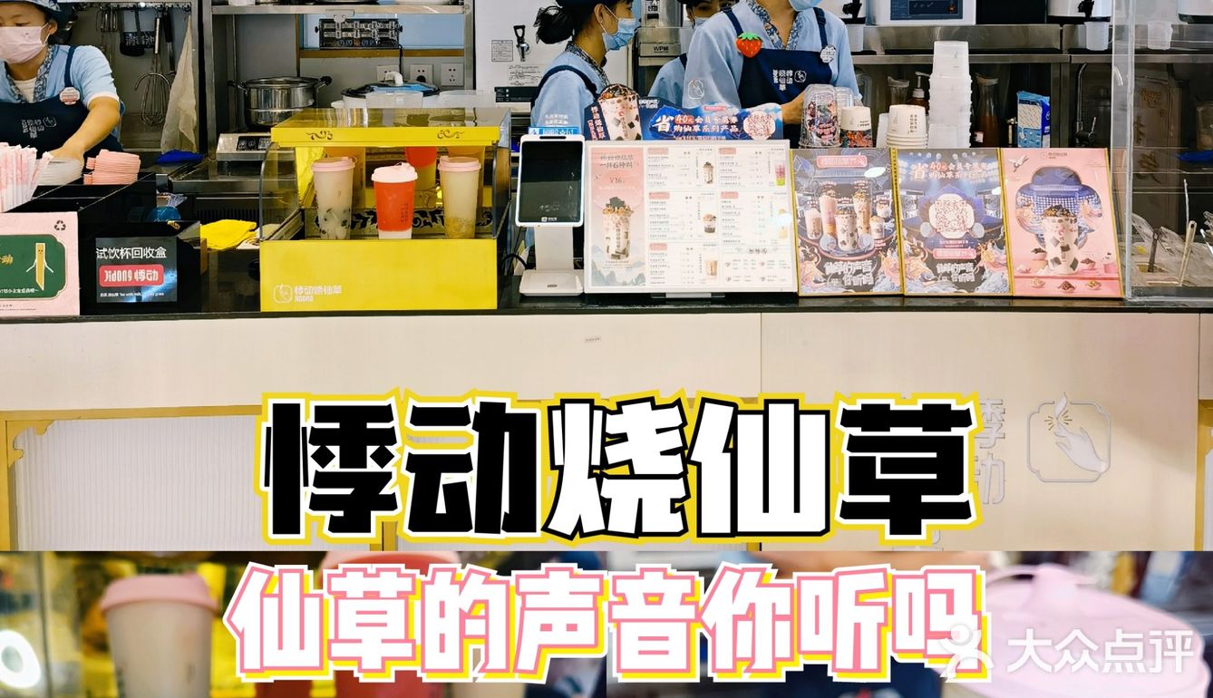 你听到了仙草的声音吗？---悸动烧仙草