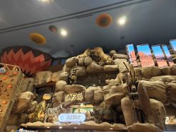 -卡通尼·Safari非洲探索乐园·生日会(金桥国际商业广场店)