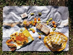 -上海共青森林公园