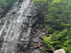 -龙道沟景区