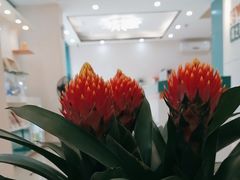 -海之声助听器 瑞士峰力直营中心(华麟大厦店)