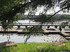 -上海鲜花港