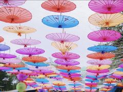 -观澜湖生态运动公社