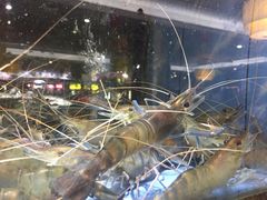 -肥仔顺德菜(龙悦居店)