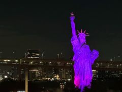-台场海滨公园船码头