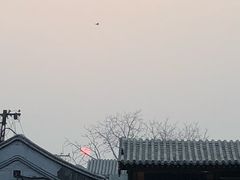 -特派卷·老北京烤鸭卷(合生汇购物中心店)