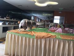 -南宫温泉水世界