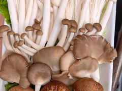 锦绣杂菇拼盘-百年果林椰子鸡(中洲店)