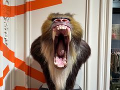 -drivepro(三里屯店)