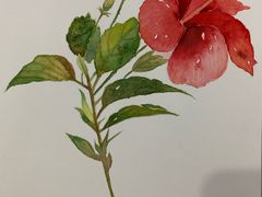 -六出私塾LiuChu•成人美术书法系统课程专业画室(熊婆婆的花园店)