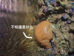-青岛银沙滩