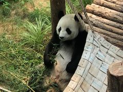 -大连森林动物园