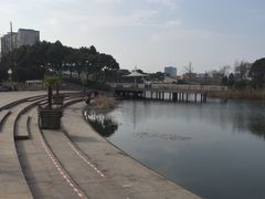 -新江湾城公园