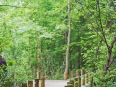 -桤木河湿地公园