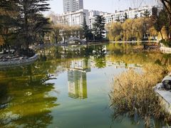 -西安市长乐公园
