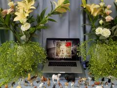 -彩虹桥宠物火化殡葬善终服务(金乐大厦店)