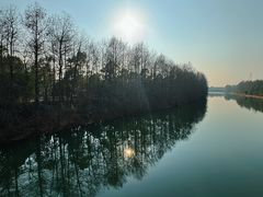 -上海海湾国家森林公园