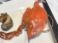 -半岛听涛蒸汽海鲜自助(K11店)