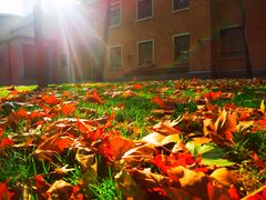 -西安电影制片厂