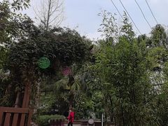 -往来·竹里.宝宝宴.生日宴.团建.宴席(花乡农居店)