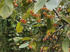 -商丘市人民公园