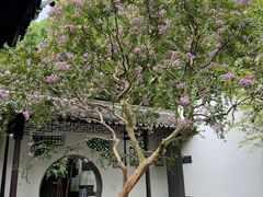 -上海醉白池公园