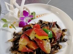 -南昌绿地铂瑞酒店·臻萃轩中餐厅