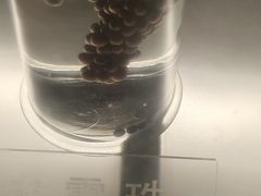 -青岛葡萄酒博物馆