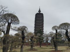 -西海子公园