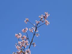-新江湾城公园