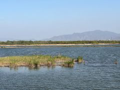 -野鸭湖国家湿地公园