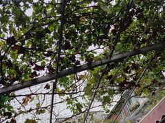 -伊隆斋(什刹海店)