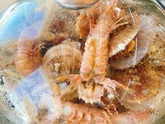 -港畔赶海蒸汽海鲜烧烤自助(仙螺岛店)