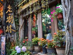 -乌镇西栅景区