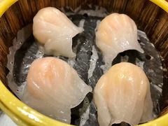 -双喜老铺(人民广场店)