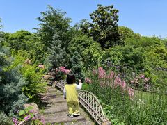 -杭州城北体育公园