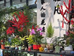 -溪岸路花鸟市场