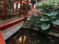 -汤山翠谷生态餐厅
