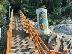 -海南霸王岭国家森林公园