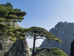-黄山风景区