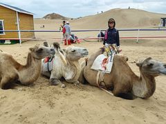 -银肯塔拉沙漠生态旅游景区