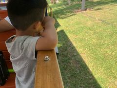 -永定河休闲森林公园