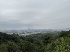 -火炉山森林公园