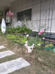 点击看大图 -安琪朵朵独栋花园月子中心