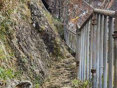 -七仙岭温泉国家森林公园