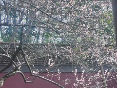 -钱王祠
